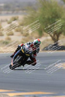 media/May-14-2023-SoCal Trackdays (Sun) [[024eb53b40]]/Turn 5 Tree of Life (1125am)/